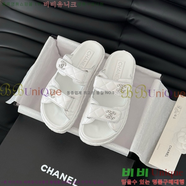   19 ũ CCΰ   31CH746016-1