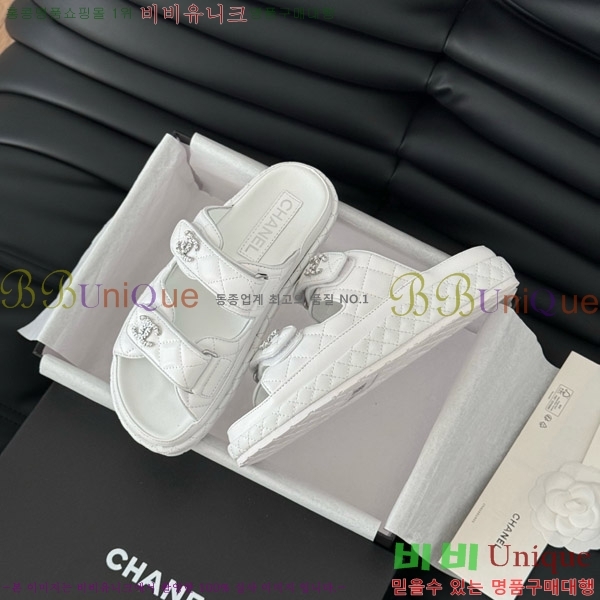   19 ũ CCΰ   31CH746016-1