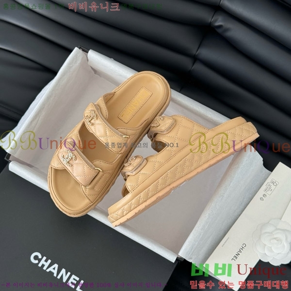   19 ũ CCΰ   31CH746016-2