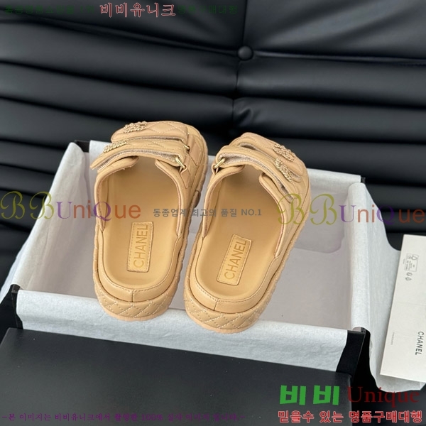   19 ũ CCΰ   31CH746016-2