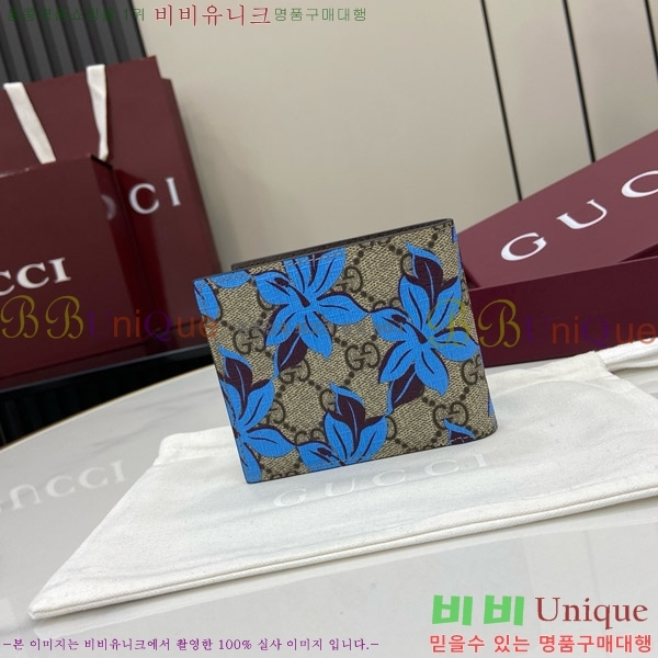 #  GG Ʈ  841146-101
