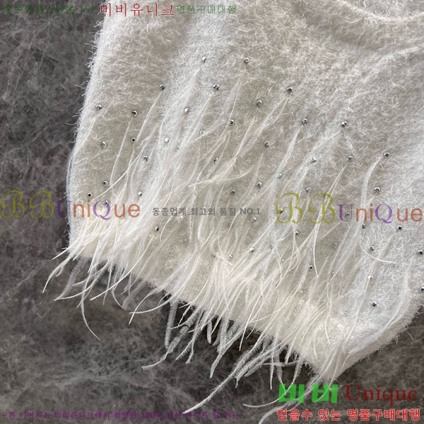  * μҸ/ CH4301886-1