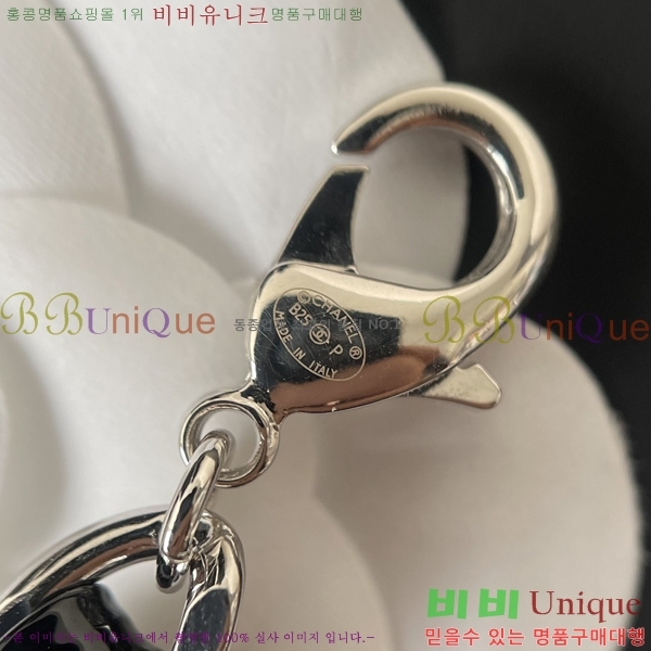  * Ŭ  21CH4102511-1
