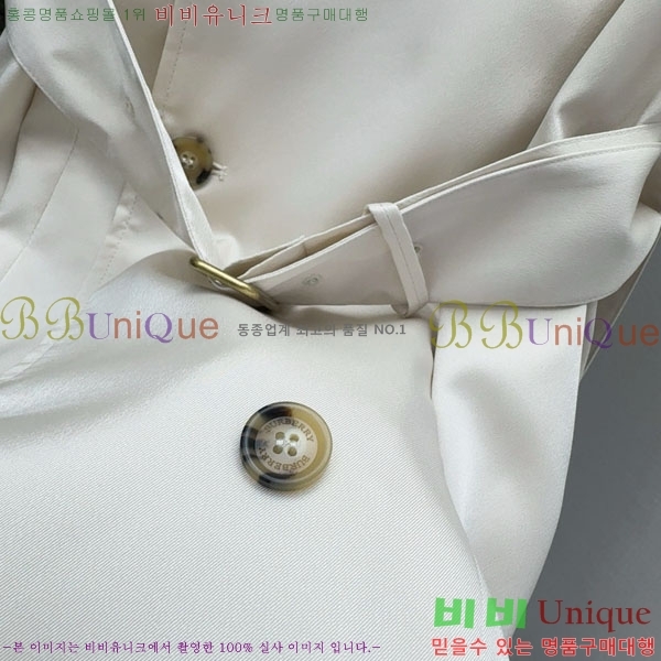   ǽ BUR2203442-1
