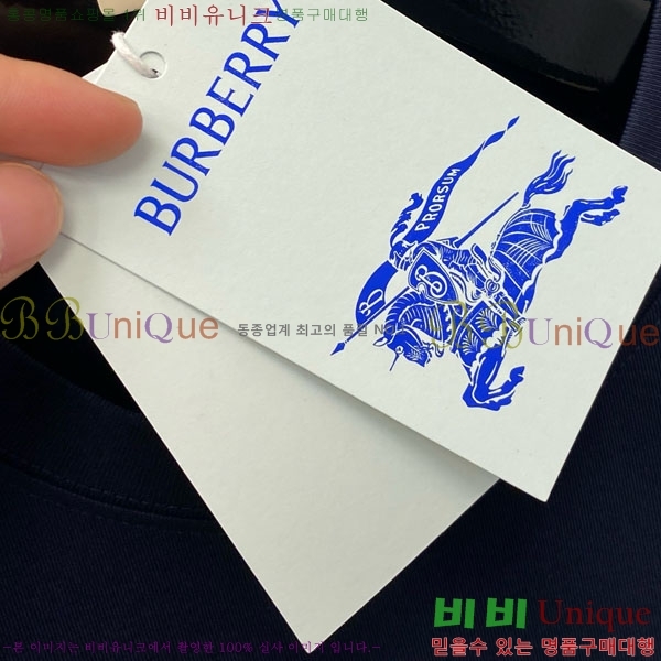    Ƽ BU256469-2