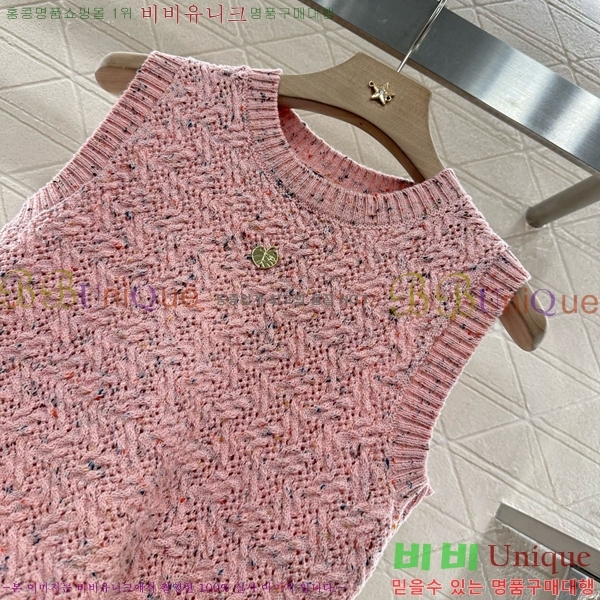  * μҸ/ CH22556-13