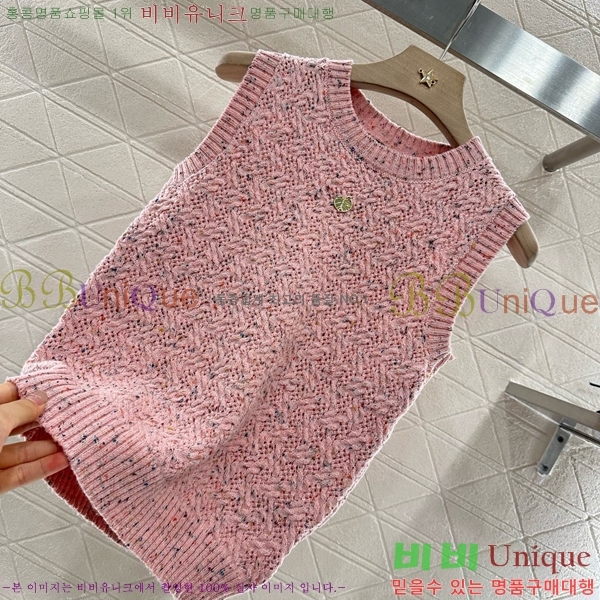 * μҸ/ CH22556-13