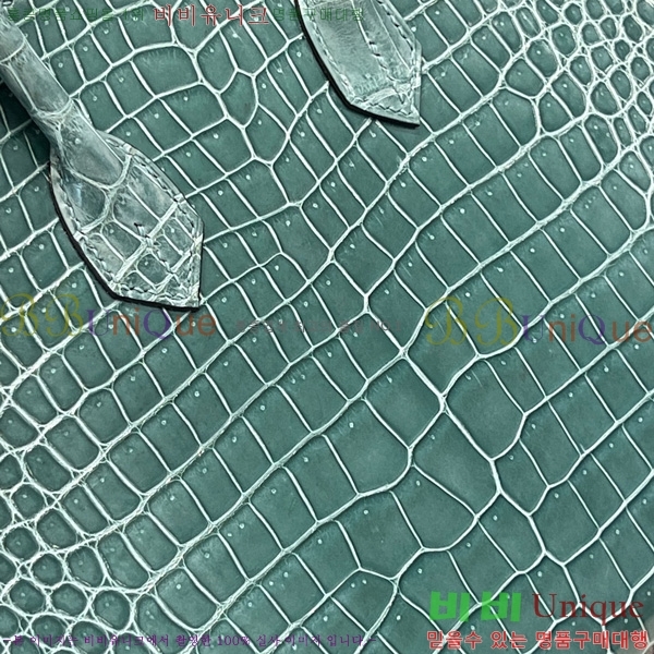 #޽ Ų 25 hcp moreletii crocodile 35HE856621-1005