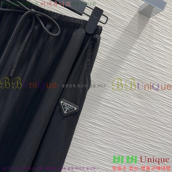   ĿƮ PA110850-3