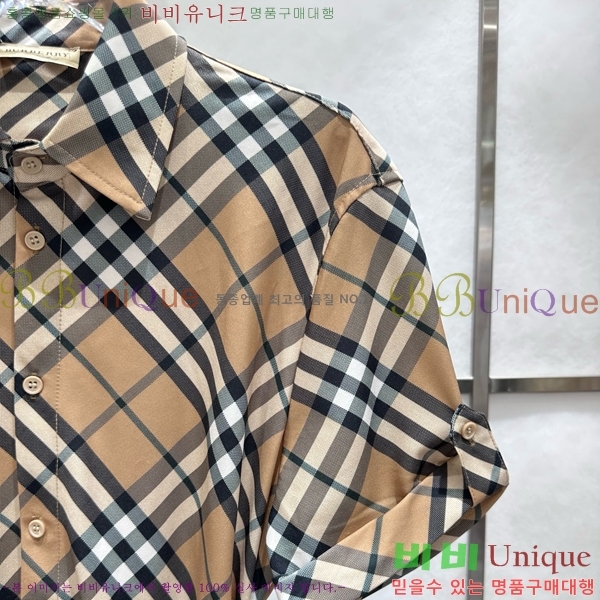   ǽ BUR2120313-6