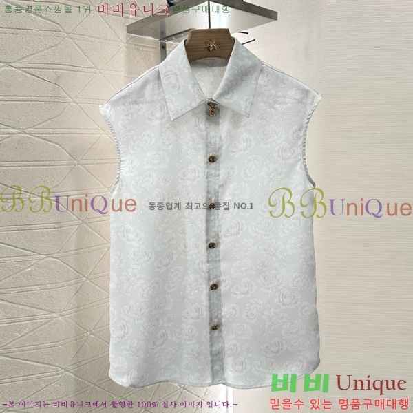  * Ʈ CH11112066-3