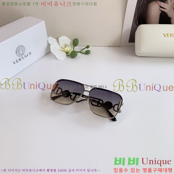 ������ü ���۶� VE102299-2