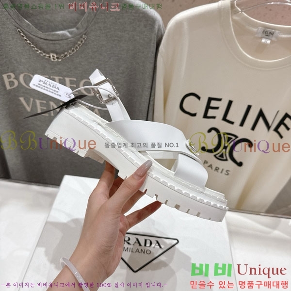    1P2500666-2