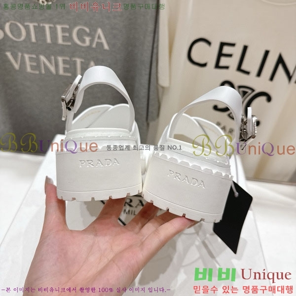    1P2500666-2