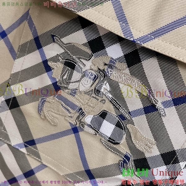   ݹ BU236718