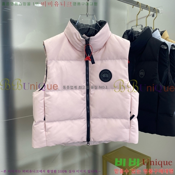 ���� ĳ���ٱ��� �ٿ� �е� ���� MO342837-2