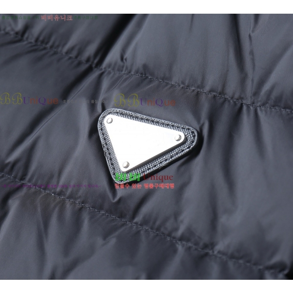 ���� ����� �ٿ� �е� PA254827