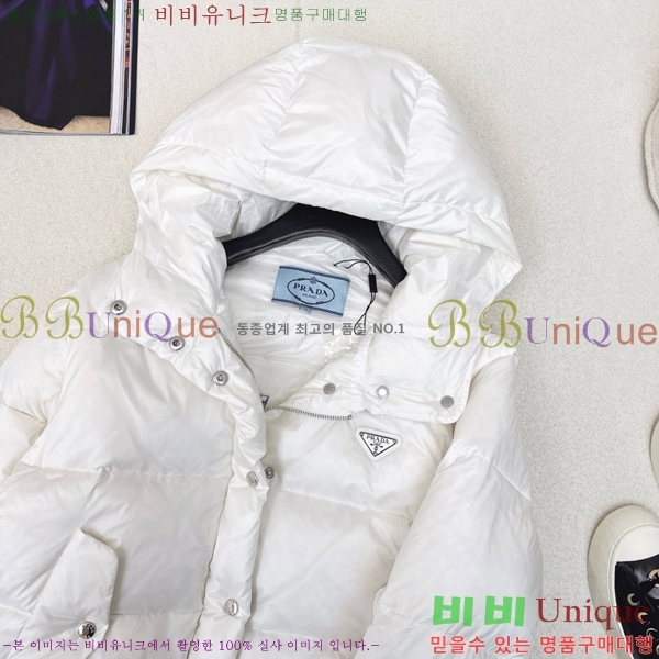 ���� ����� �ٿ� �е� PA287653-1