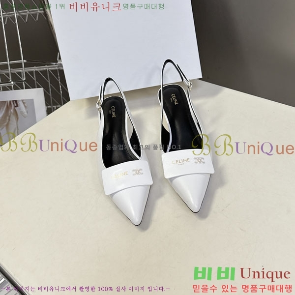 ������ ������ ���� CE2566604