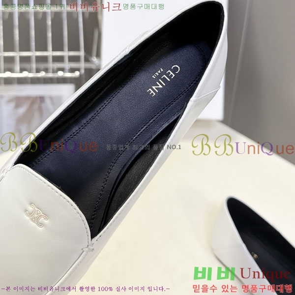 ������ Ŭ���� ����  CE256089-1