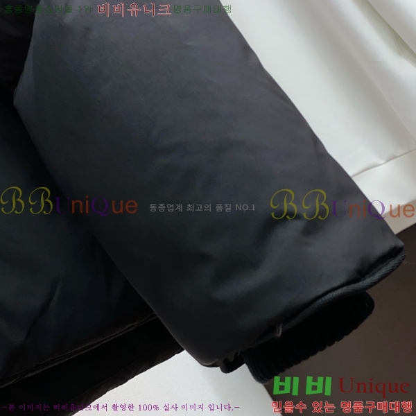 ���� ĳ���ٱ��� �ٿ� �е� CAG157488-2