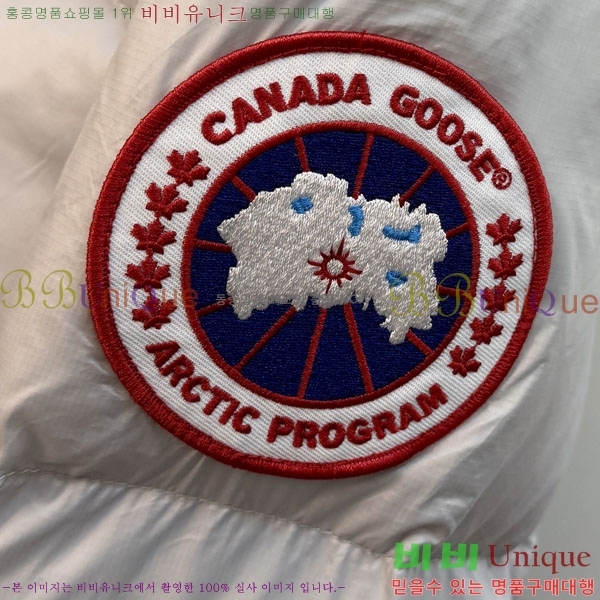 ���� ĳ���ٱ��� �ٿ� �е� CAG157494-2