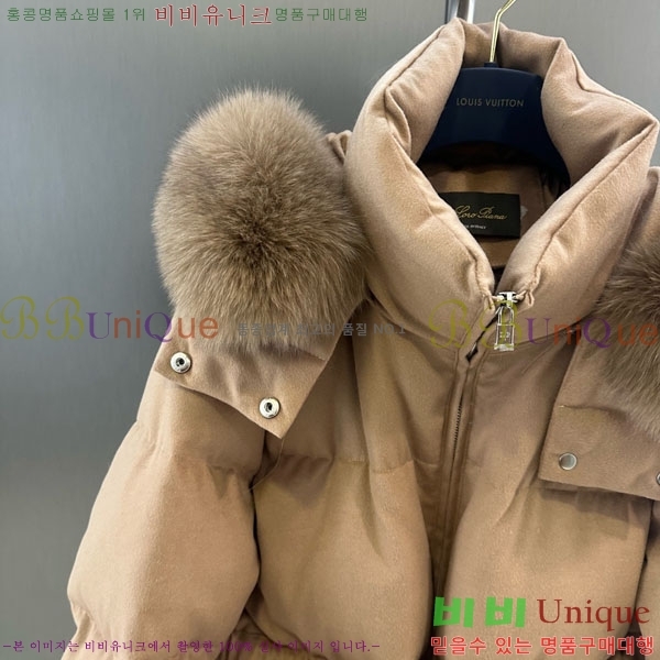 ���� �η�**�� �ٿ� �е� LP14245022-5