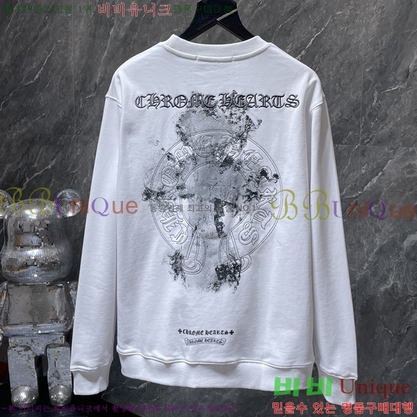 ���� ũ������ ������ CH8666-1