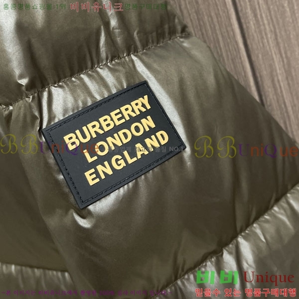 ���� ������ �ٿ� �е� BU154377-2