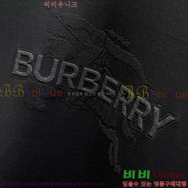 ���� ������ ������ B8452743-1